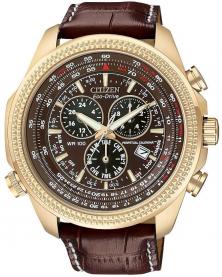 Citizen BL5403-03X Perpetual Calendar  watch