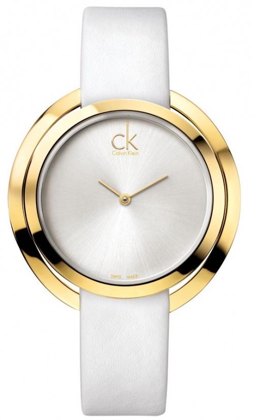  Calvin Klein Aggregate K3U235L6 watch