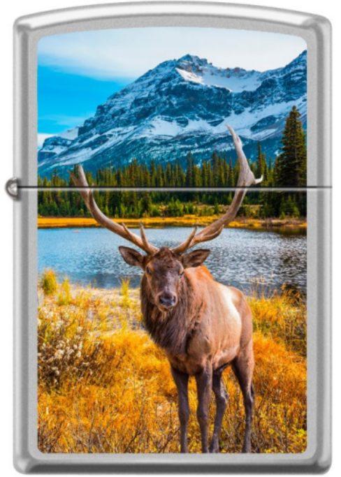  Zippo Autumn Moose Park 0279 lighter